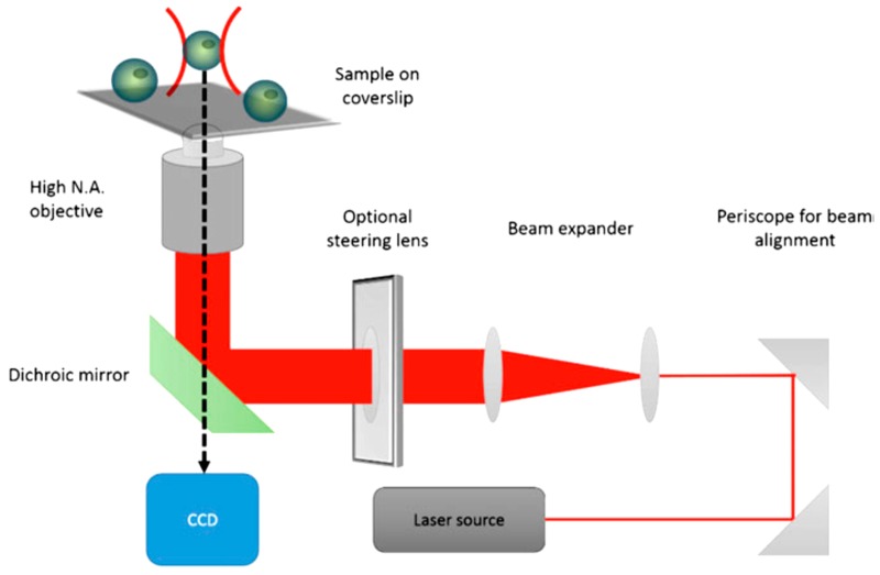 Figure 11