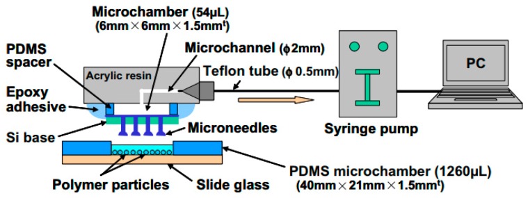 Figure 25