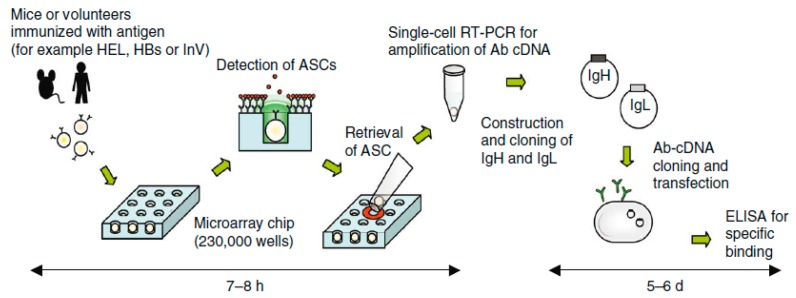 Figure 19