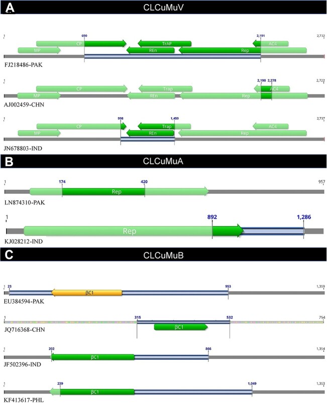 Figure 5.