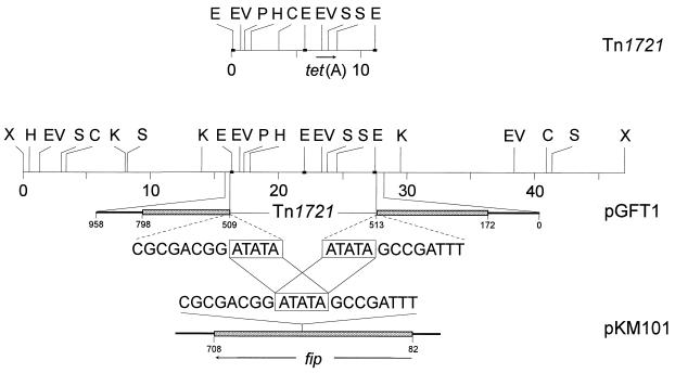 FIG. 1