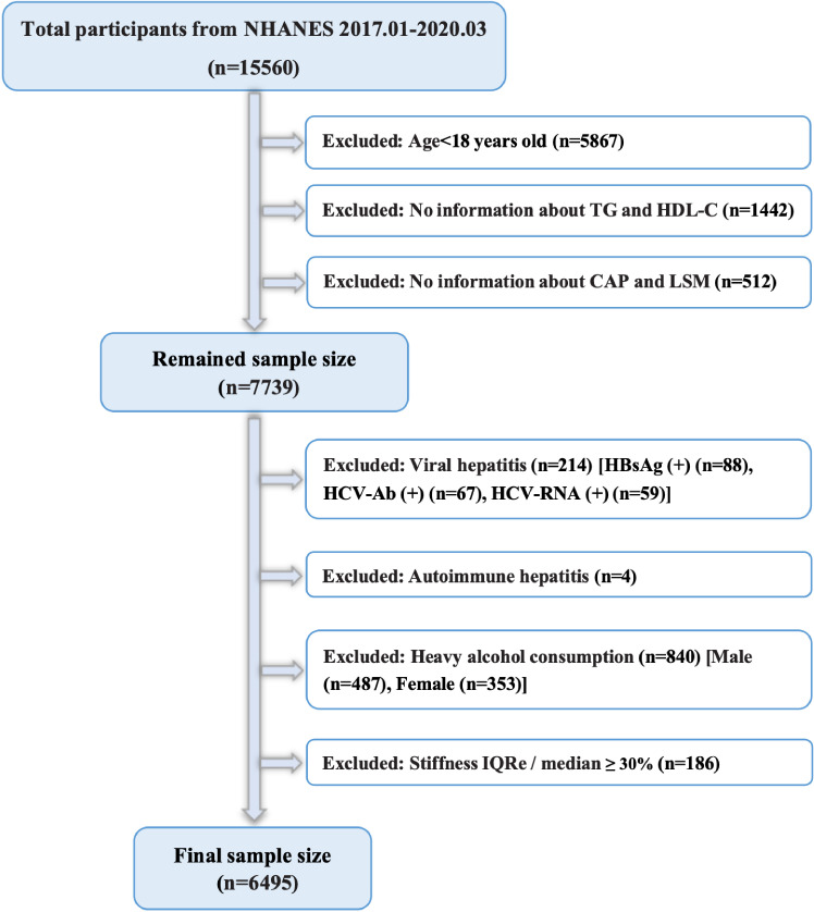 Figure 1