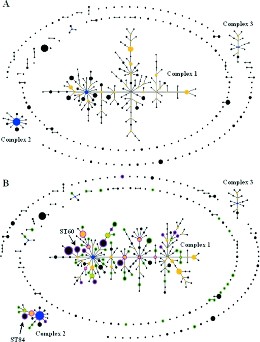 FIG. 2.