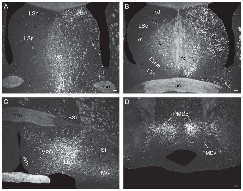 Fig. 10