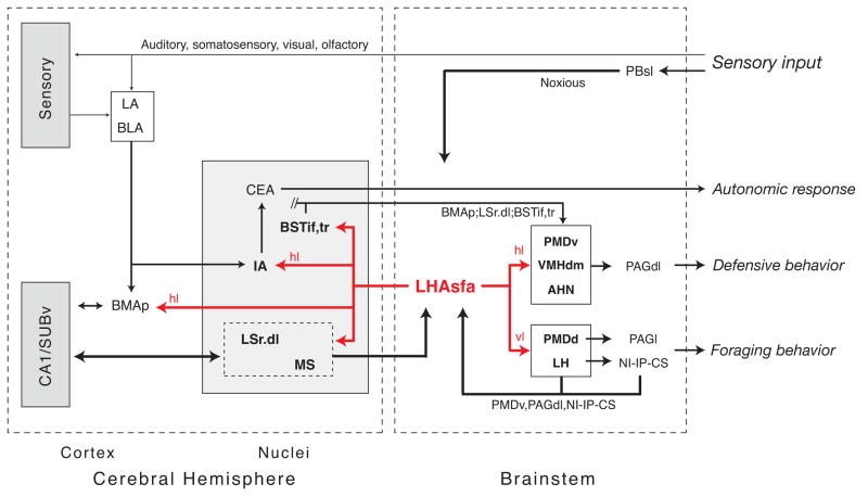 Fig. 13