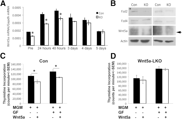 Figure 6