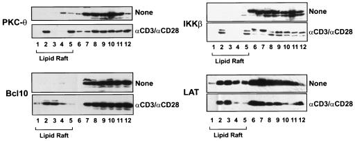 FIG. 8.