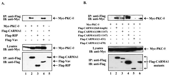 FIG. 6.