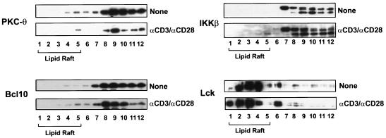 FIG. 9.