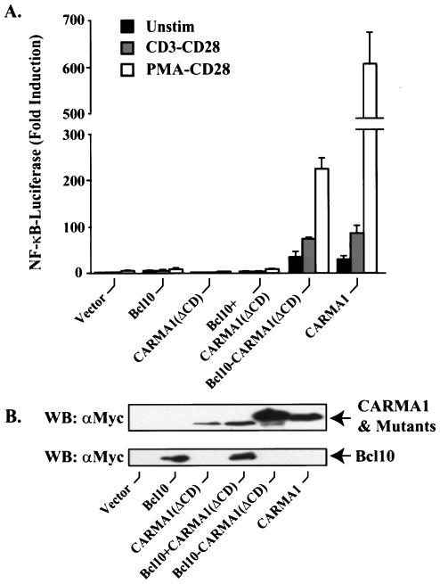 FIG. 10.