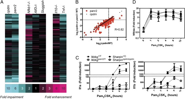 Fig. 3.