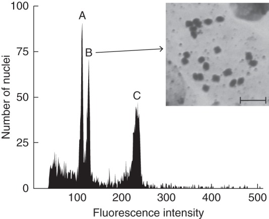 Fig. 2.
