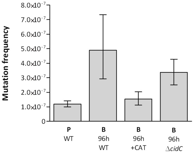 Figure 5