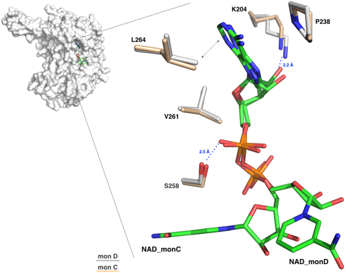 Figure 6