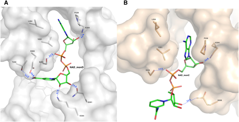 Figure 7