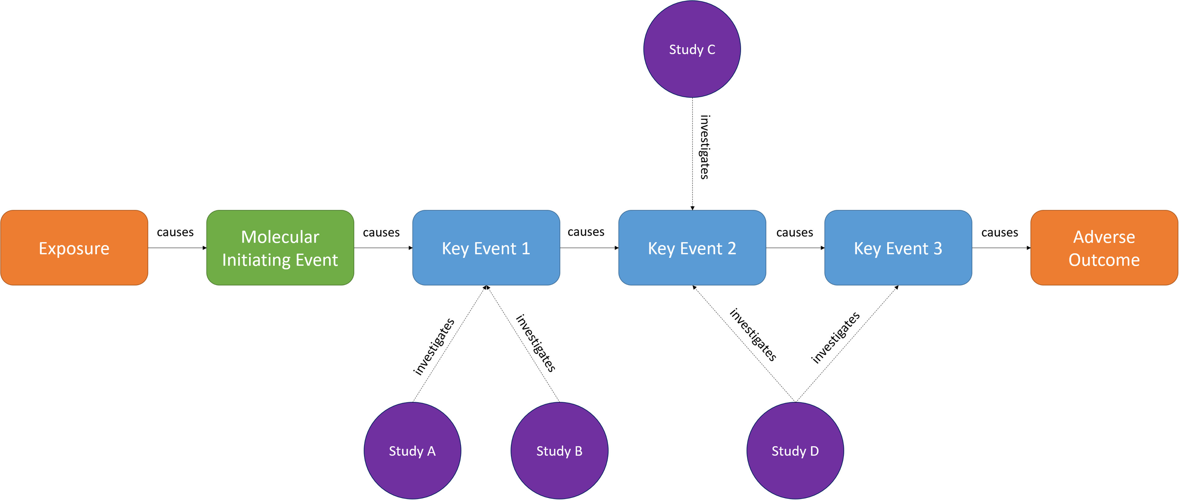 Figure 5 is a flow chart having five steps. Step 1: Exposure causes Molecular initiating event. Step 2: Molecular initiating event causes Key event 1 which was investigated by Study A and Study B. Step 3: Key event 1 causes Key event 2 which was investigated by Study C and Study D. Step 4: Key event 2 causes Key event 3 which was investigated by Study D. Step 5: Key event 3 causes Adverse Outcome.