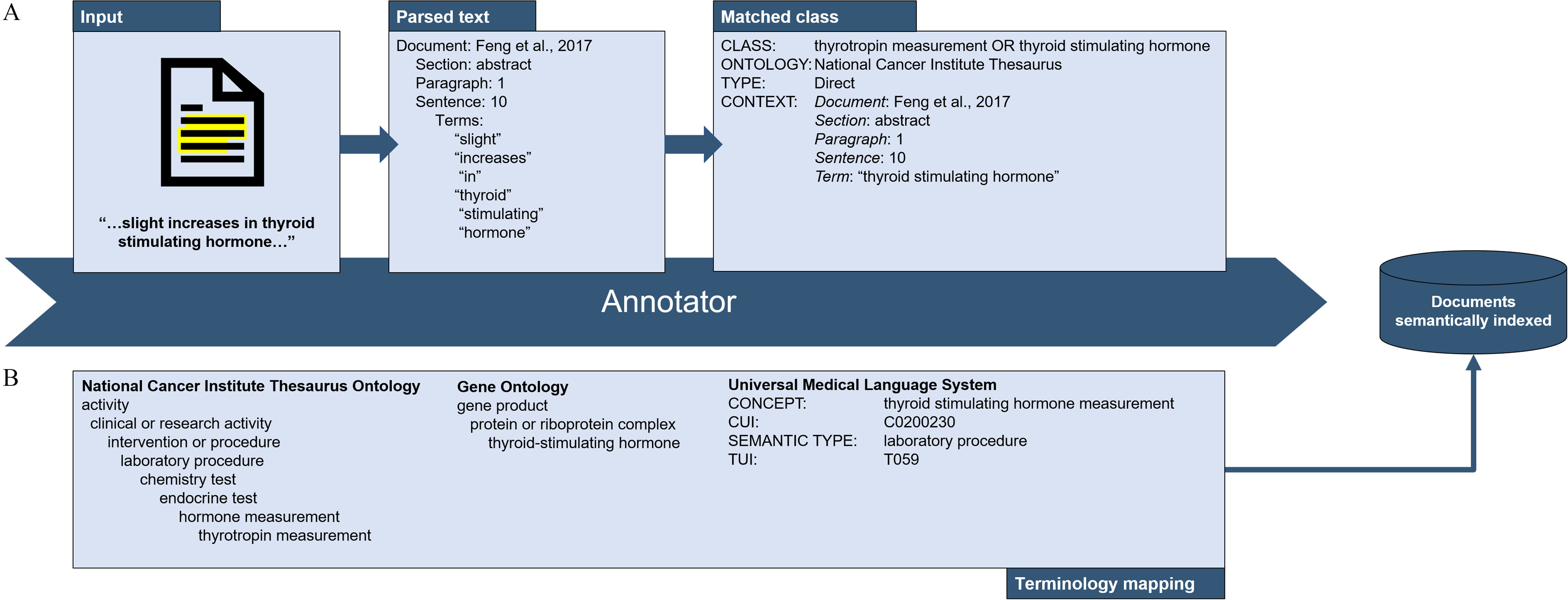 Figure 7A is a flow chart having four steps. Step 1: Input: Slight increases in thyroid stimulating hormone with an icon of paper. Step 2: Parsed text: Document: Feng and others, 2017, Section: abstract, paragraph: 1, sentence: 10, terms: “slight,” “increases,” “in,” “thyroid,” “stimulating,” and “hormone.” Step 3: Matched class: Class: thyrotropin measurement odd ratios thyroid stimulating hormone, Ontology: National Cancer Institute Thesaurus, Type: Direct, Context: Document: Feng and other, 2017, Section: abstract, Paragraph: 1, Sentence: 10, and Term: “thyroid stimulating hormone”. Step 4: Documents semantically indexed. An arrow pointing towards right at Documents semantically indexed with a text that reads, Annotator. Figure 7B is a flow chart having two steps. Step 1: National Cancer Institute Thesaurus Ontology: activity, clinical or research activity, intervation or procedure, laboratory procedure, chemistry test, endocrine text, hormone measurement, and thyrotropin measurement; Gene Ontology: Gene product, protein or riboprotein complex, and thyroid stimulating hormone; and Universal Medical Language System: Concept: thyroid stimulating hormone measurement, C U I: C0200230, Semantic type: laboratory procedure, and T U I: T059. Step 2: Step 1 with terminology mapping leads to Documents semantically indexed.