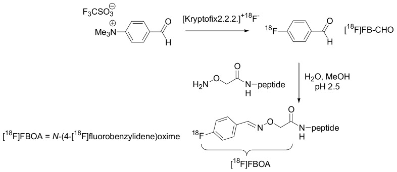 Scheme 3