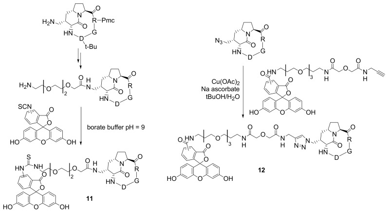 Scheme 9