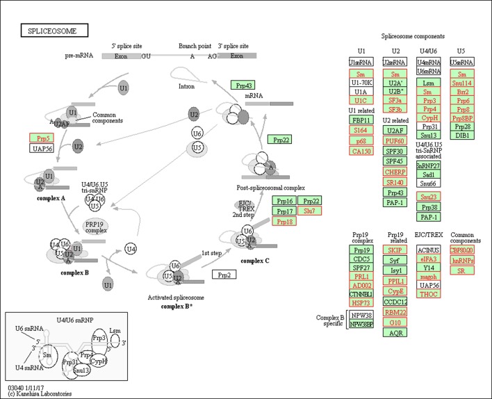 Fig 7