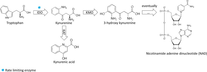 Fig. 7