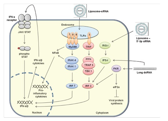 Fig. (3)