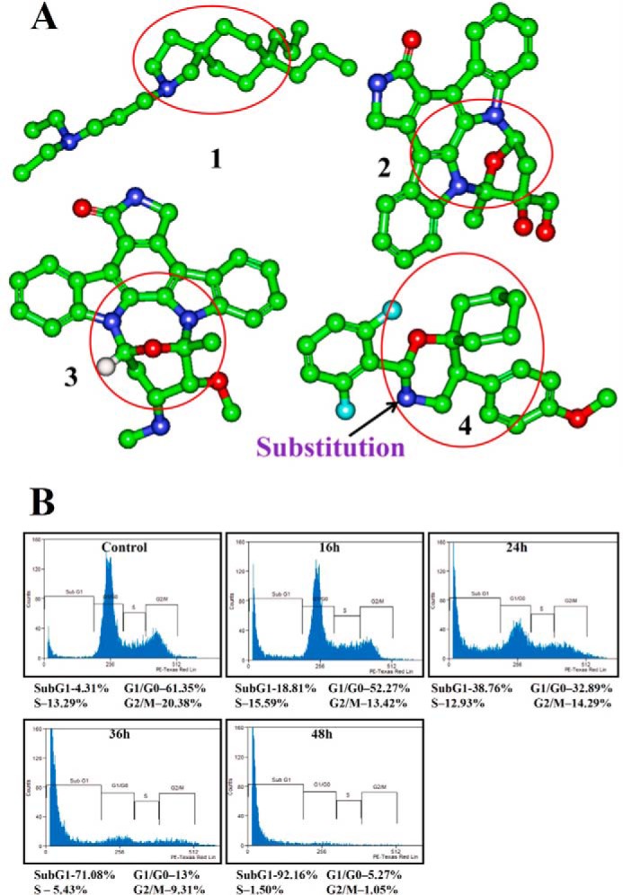 FIGURE 1.