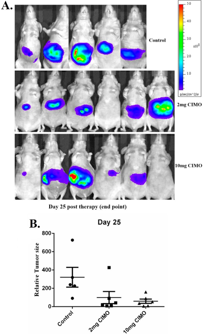 FIGURE 6.