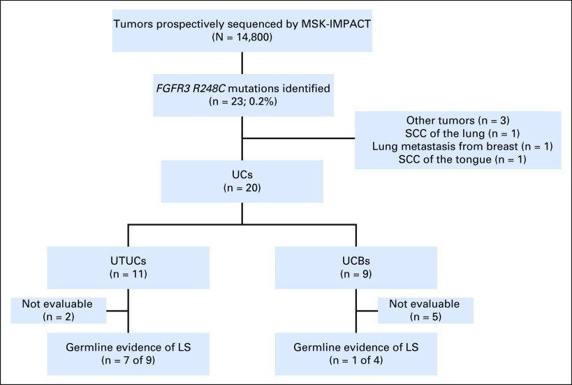 Fig 3.