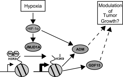 FIG. 7.