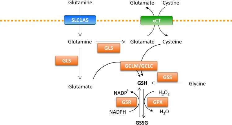 Fig. 2.