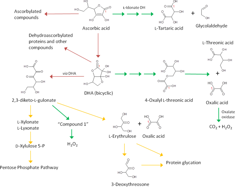 Fig. 4