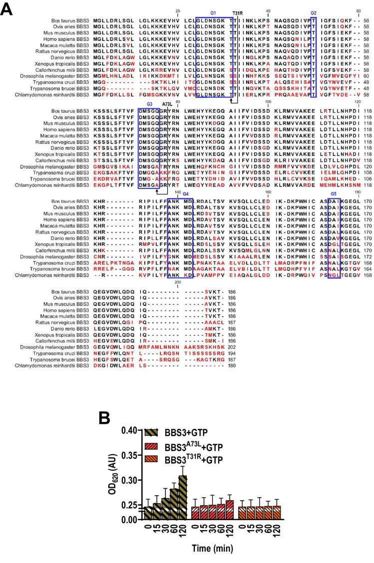 Figure 4—figure supplement 1.