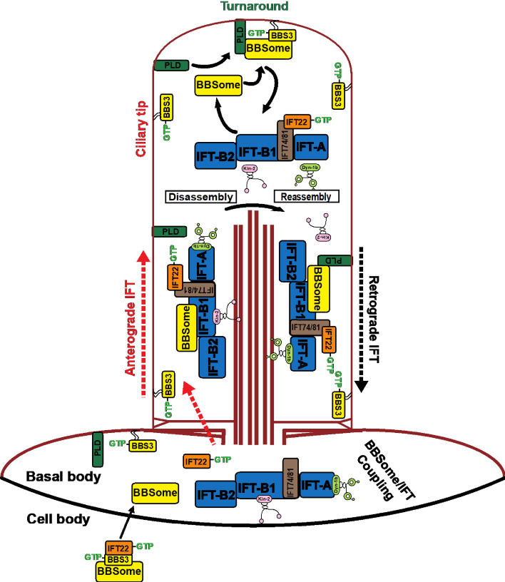 Figure 8.