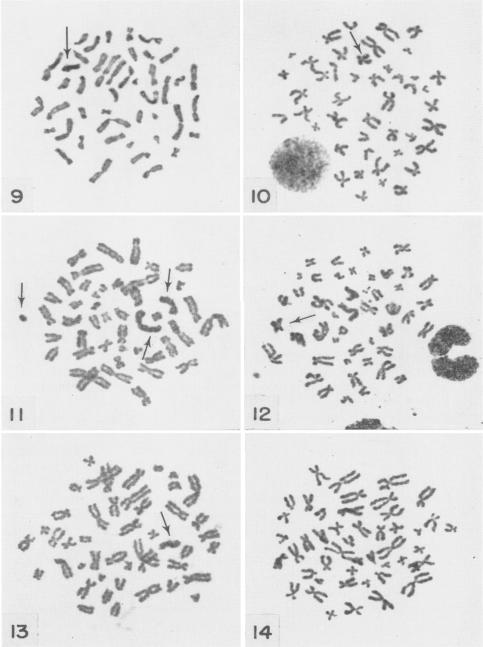 Fig. 9-10