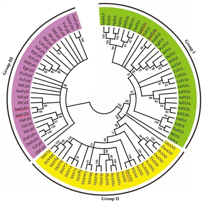 Figure 6