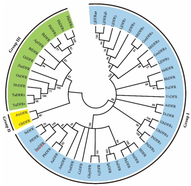 Figure 7