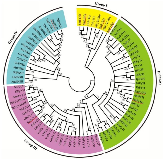 Figure 5