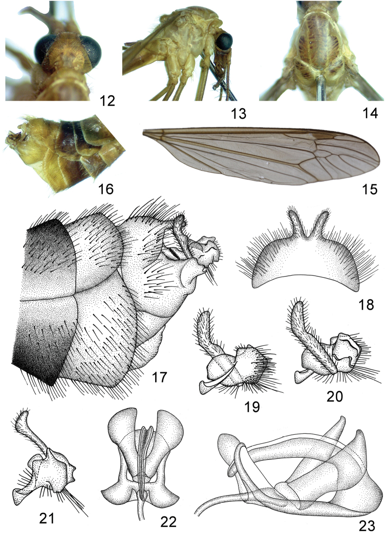 Figures 12–23.