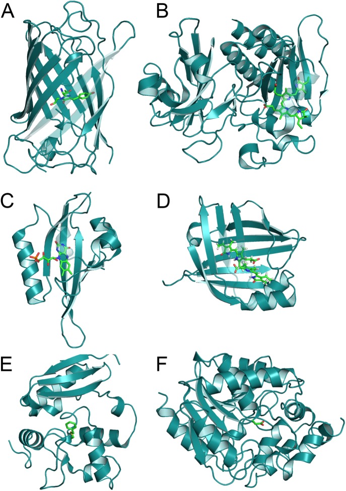FIGURE 1: