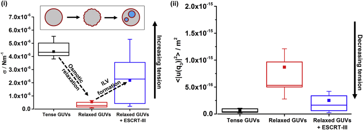 Figure 6