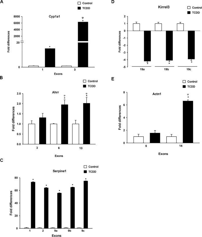 Fig 4