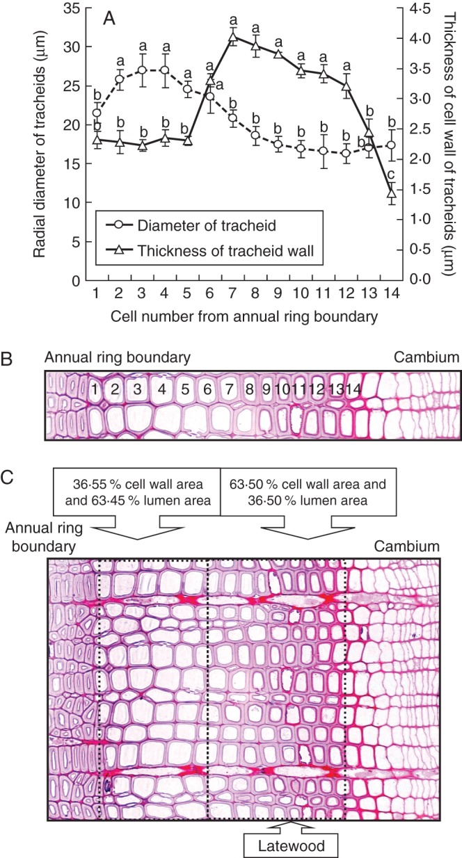 Fig. 6.