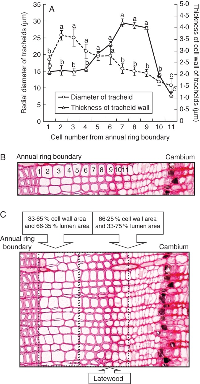 Fig. 7.