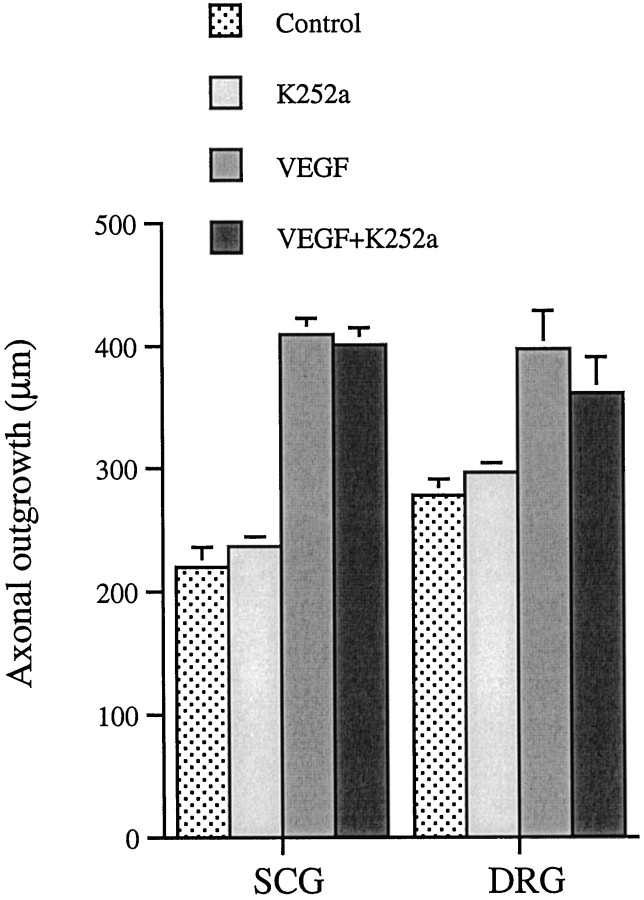 Fig. 10.