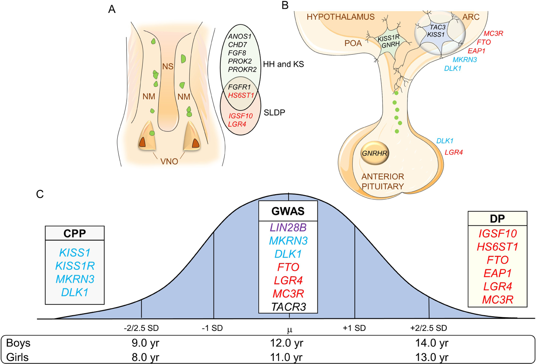 Figure 1: