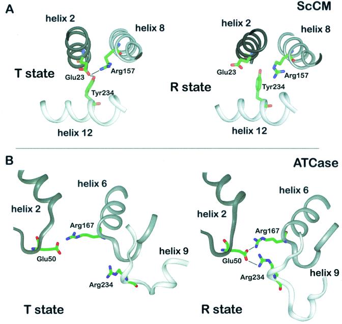 FIG. 7