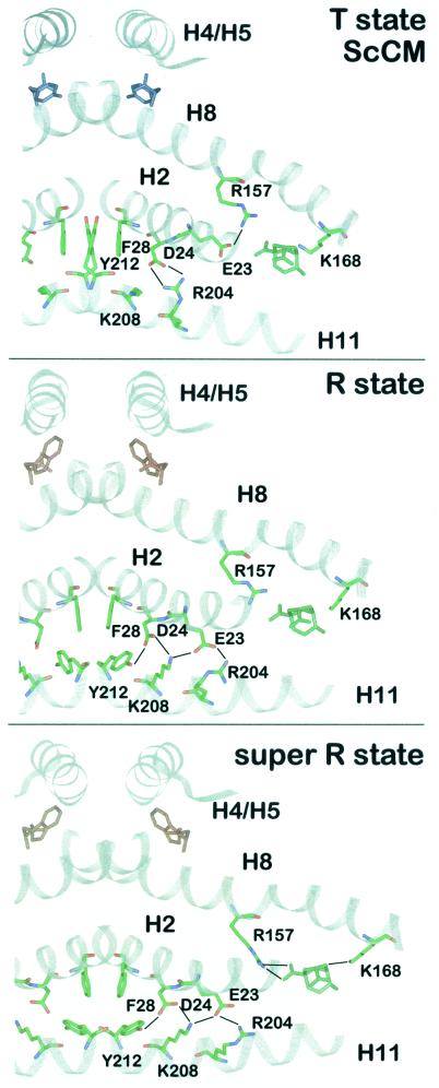 FIG. 6