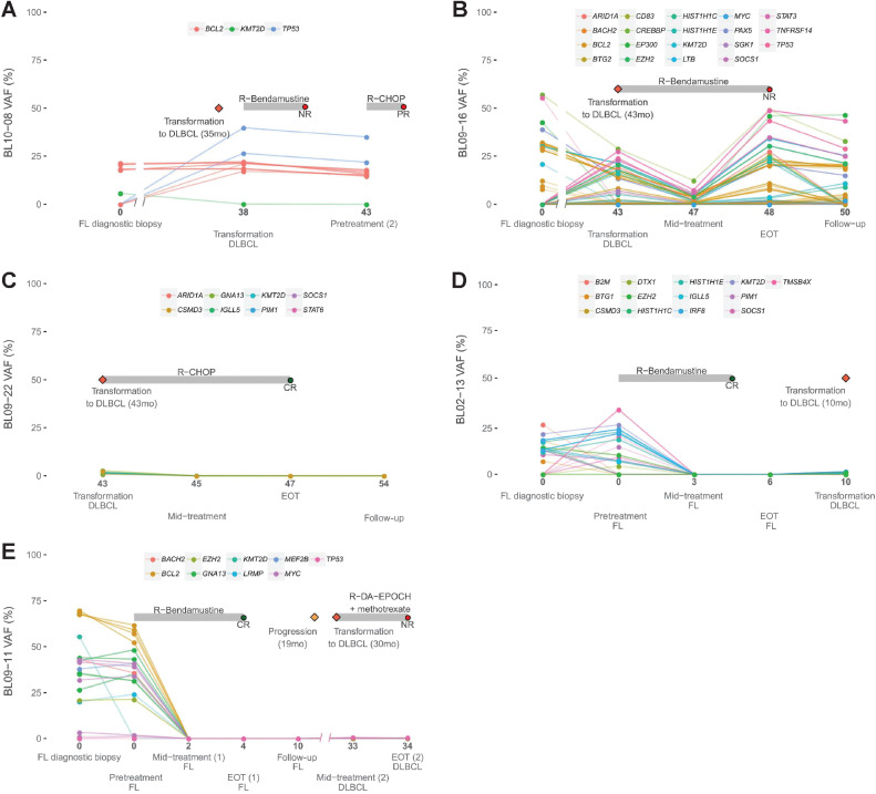 Figure 5. Longitudinal monitoring of cfDNA genotyping during disease evolution for patients with FL that suffered transformation to DLBLC. Time in months of cfDNA sample collection after diagnosis is indicated. NR, non-response; P, progression.