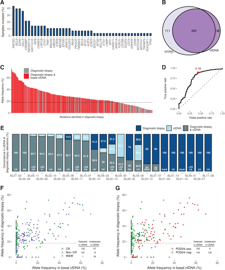 Figure 1. Frequency of somatic mutations detected in basal plasma ctDNA and concordance between mutations detected in pretreatment plasma cfDNA and matched tumor gDNA genotyping (A) Percentage of samples with mutated genes. B, The Venn diagram shows the number of mutations detected in tumor biopsy gDNA and cfDNA. C, The bar graph shows the VAF of the mutations identified in tumor gDNA found in pretreatment cfDNA (red bars) or were missed (grey bars). The dashed line tracks the 18% VAF threshold calculated by the ROC analysis. D, ROC analysis shows the ability of pretreatment cfDNA genotyping to detect diagnostic biopsy tumor mutations according to the VAF. E, The bar graph shows the percentage of mutations by case. Mutations are coded by color (see figure box legend). The scatter plots represent the VAF in pretreatment cfDNA compared with that in diagnostic biopsy for each variant identified. Each variant is represented by the color code indicated in the figure: (F) according to response to treatment and (G) POD24. gDNA, genomic DNA.